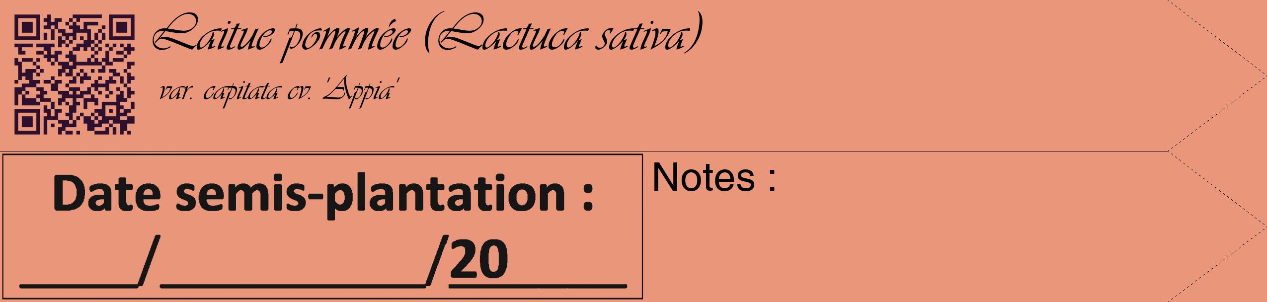 Étiquette de : Lactuca sativa var. capitata cv. 'Appia' - format c - style noire37_simple_simpleviv avec qrcode et comestibilité