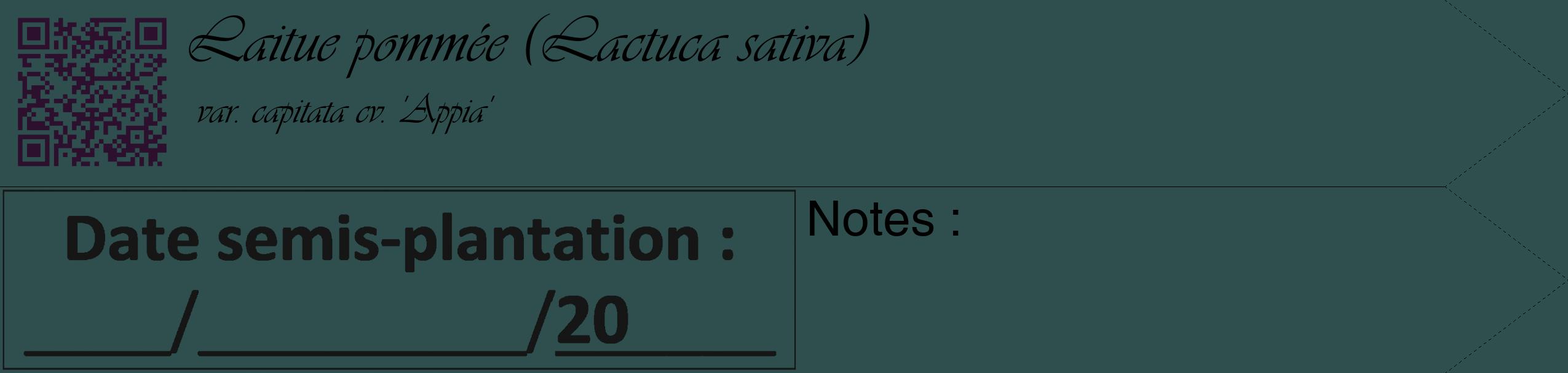 Étiquette de : Lactuca sativa var. capitata cv. 'Appia' - format c - style noire58_simple_simpleviv avec qrcode et comestibilité