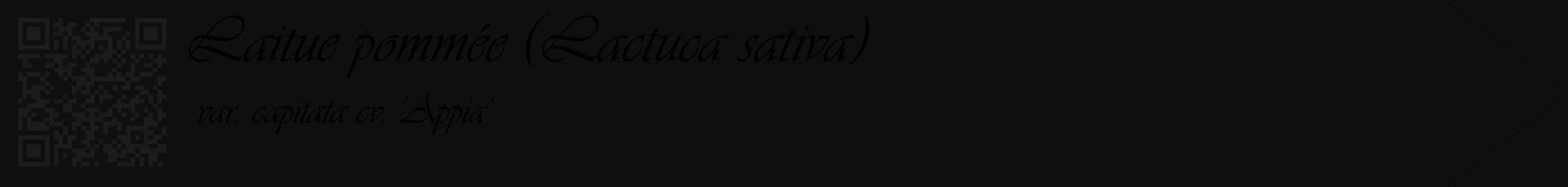 Étiquette de : Lactuca sativa var. capitata cv. 'Appia' - format c - style noire7_simple_simpleviv avec qrcode et comestibilité