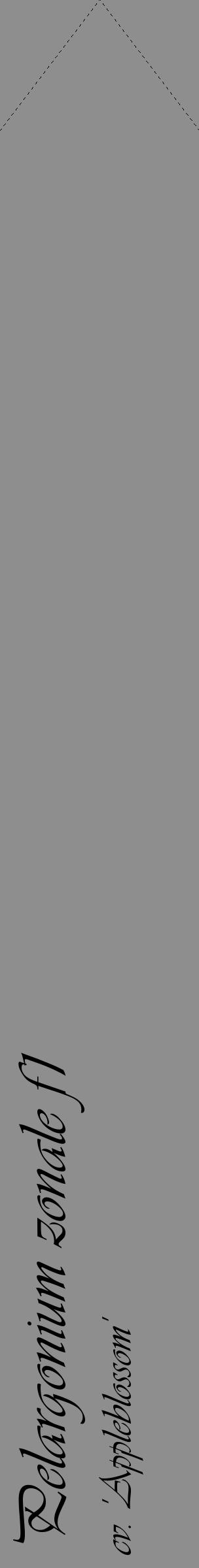 Étiquette de : Pelargonium zonale f1 cv. 'Appleblossom' - format c - style noire25_simple_simpleviv avec comestibilité - position verticale