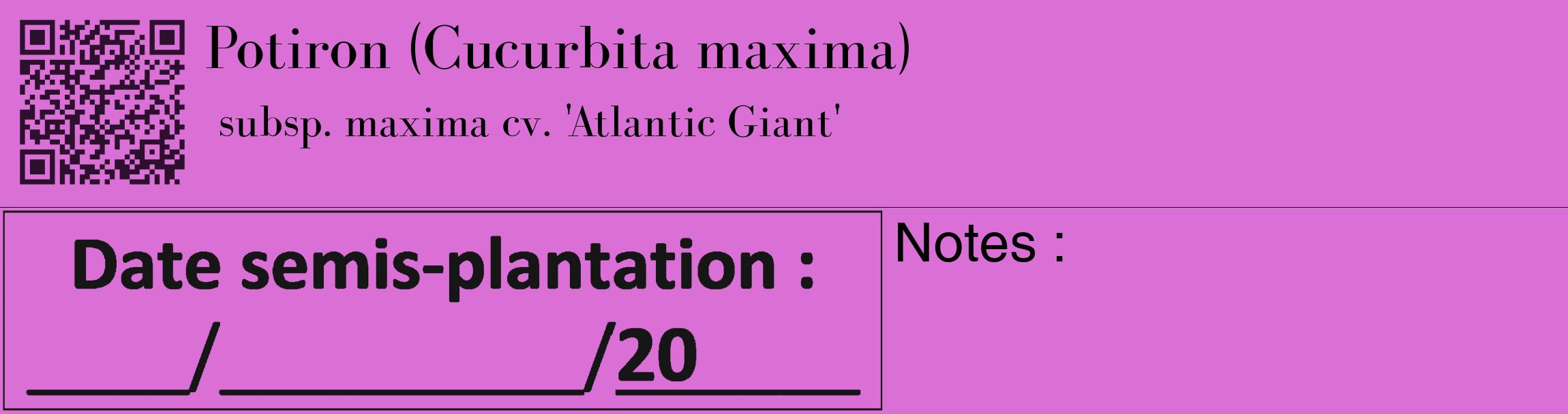 Étiquette de : Cucurbita maxima subsp. maxima cv. 'Atlantic Giant' - format c - style noire52_basique_basiquebod avec qrcode et comestibilité