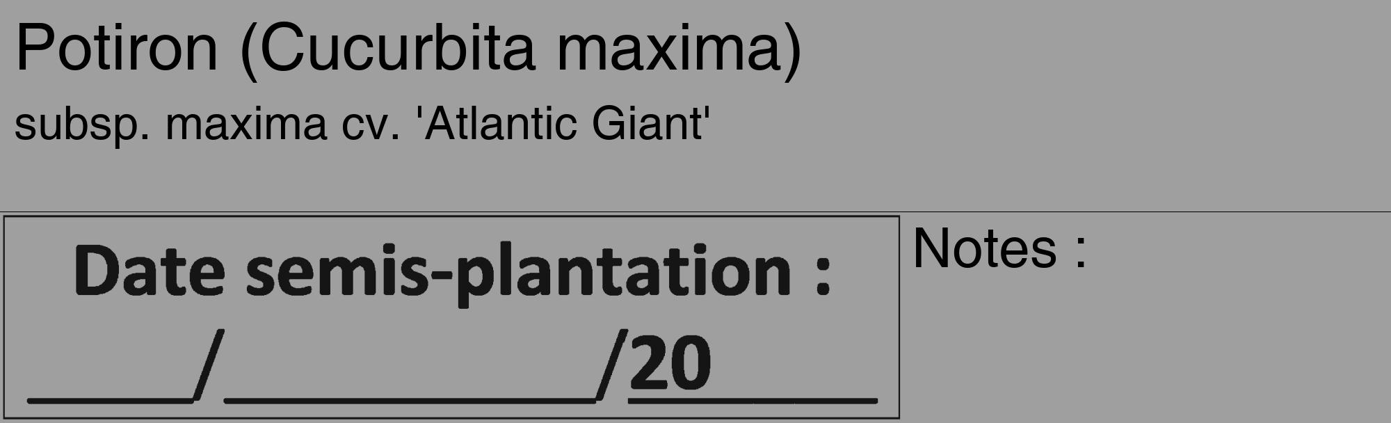 Étiquette de : Cucurbita maxima subsp. maxima cv. 'Atlantic Giant' - format c - style noire24_basique_basiquehel avec comestibilité
