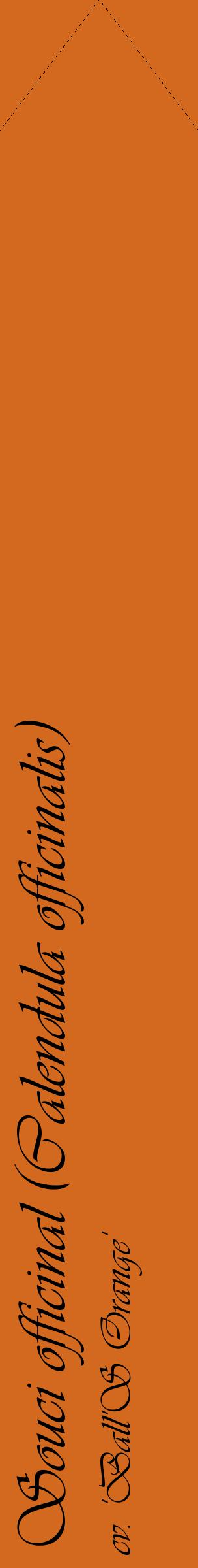 Étiquette de : Calendula officinalis cv. 'Ball'S Orange' - format c - style noire31_simpleviv avec comestibilité