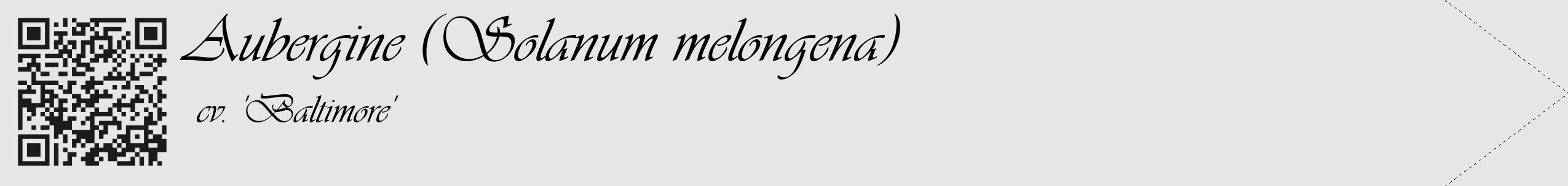 Étiquette de : Solanum melongena cv. 'Baltimore' - format c - style noire18_simple_simpleviv avec qrcode et comestibilité