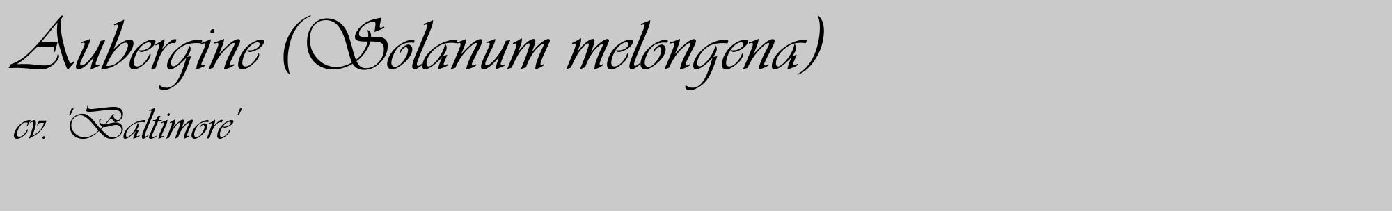 Étiquette de : Solanum melongena cv. 'Baltimore' - format c - style noire21_basique_basiqueviv avec comestibilité