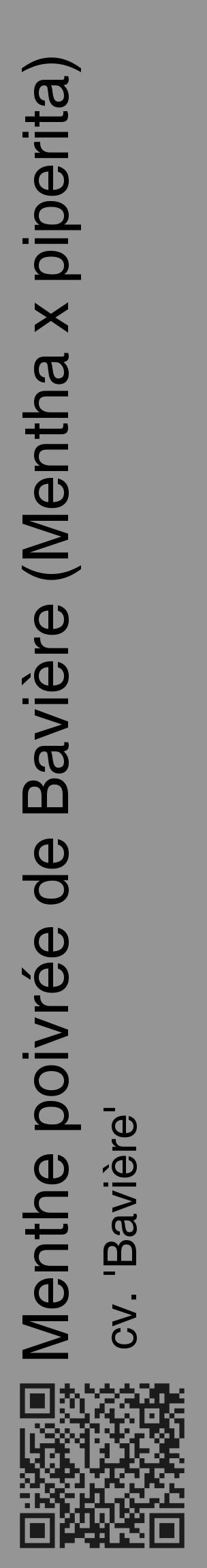 Étiquette de : Mentha x piperita cv. 'Bavière' - format c - style noire16_basique_basiquehel avec qrcode et comestibilité - position verticale