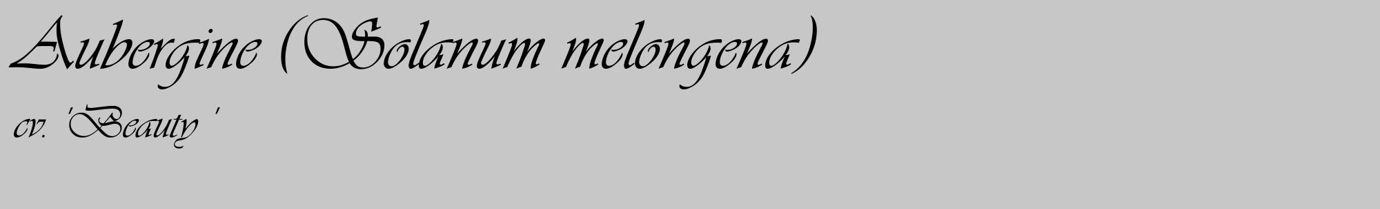 Étiquette de : Solanum melongena cv. 'Beauty ' - format c - style noire15_basique_basiqueviv avec comestibilité
