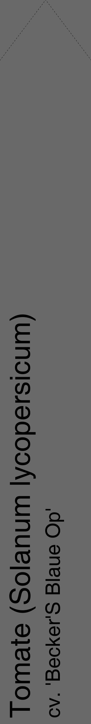 Étiquette de : Solanum lycopersicum cv. 'Becker'S Blaue Op' - format c - style noire11_simple_simplehel avec comestibilité - position verticale