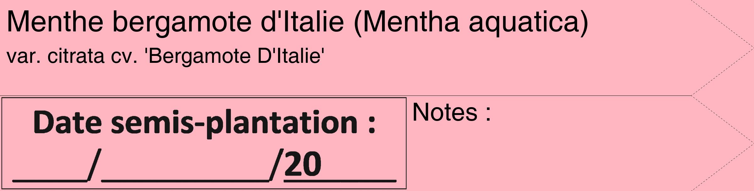 Étiquette de : Mentha aquatica var. citrata cv. 'Bergamote D'Italie' - format c - style noire41_simple_simplehel avec comestibilité