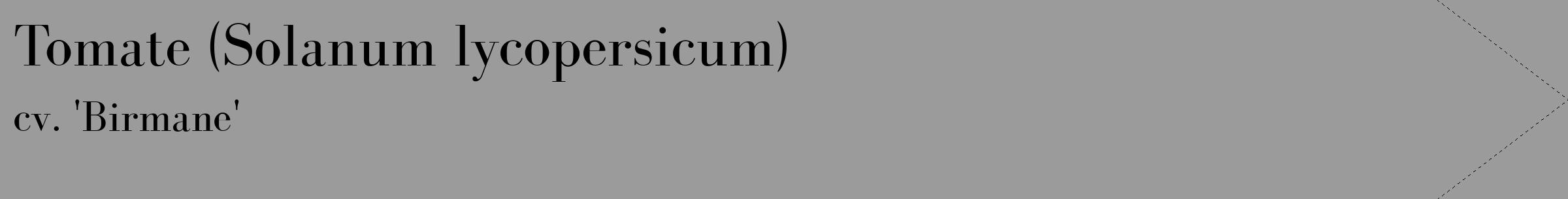Étiquette de : Solanum lycopersicum cv. 'Birmane' - format c - style noire52_simple_simplebod avec comestibilité