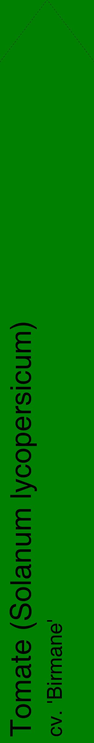 Étiquette de : Solanum lycopersicum cv. 'Birmane' - format c - style noire9_simplehel avec comestibilité