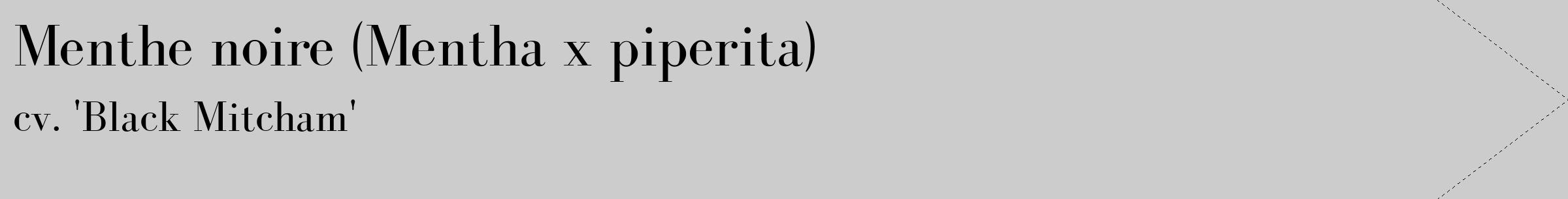 Étiquette de : Mentha x piperita cv. 'Black Mitcham' - format c - style noire0_simple_simplebod avec comestibilité