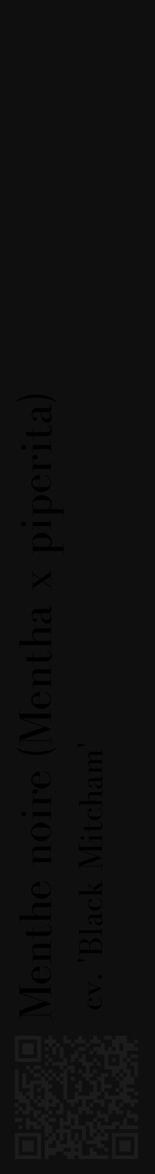 Étiquette de : Mentha x piperita cv. 'Black Mitcham' - format c - style noire7_basique_basiquebod avec qrcode et comestibilité - position verticale