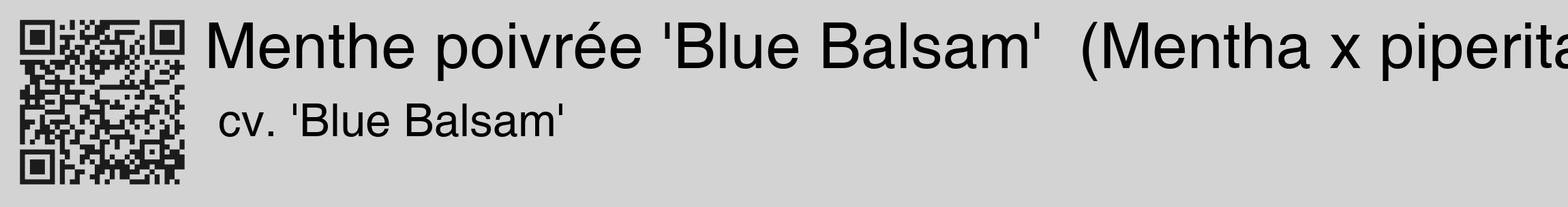 Étiquette de : Mentha x piperita cv. 'Blue Balsam' - format c - style noire56_basique_basiquehel avec qrcode et comestibilité