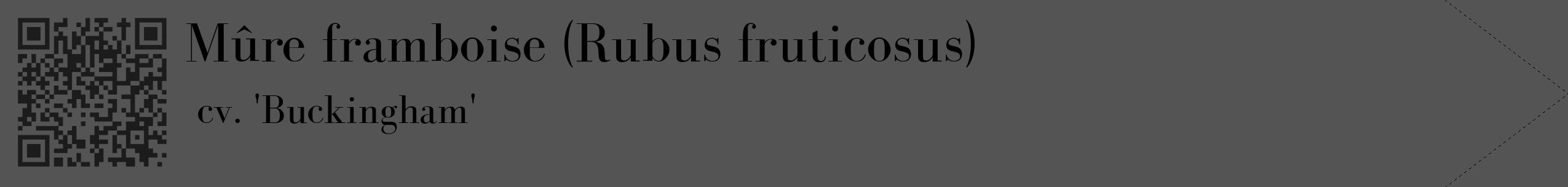 Étiquette de : Rubus fruticosus cv. 'Buckingham' - format c - style noire30_simple_simplebod avec qrcode et comestibilité