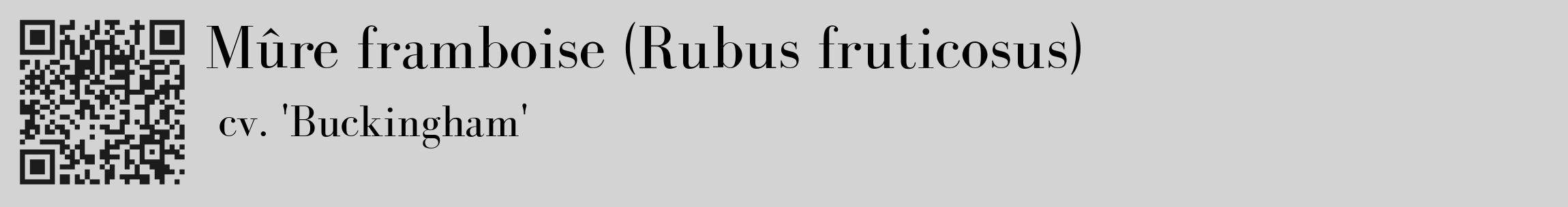Étiquette de : Rubus fruticosus cv. 'Buckingham' - format c - style noire56_basique_basiquebod avec qrcode et comestibilité