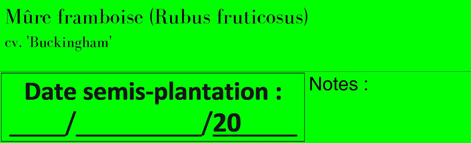 Étiquette de : Rubus fruticosus cv. 'Buckingham' - format c - style noire16_basique_basiquebod avec comestibilité