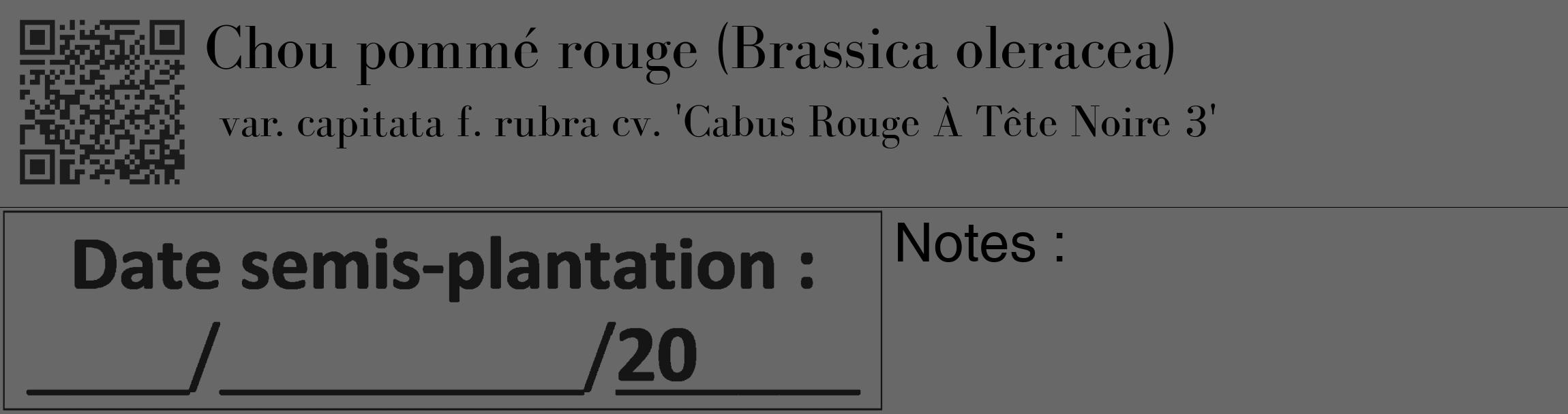 Étiquette de : Brassica oleracea var. capitata f. rubra cv. 'Cabus Rouge À Tête Noire 3' - format c - style noire43_basique_basiquebod avec qrcode et comestibilité