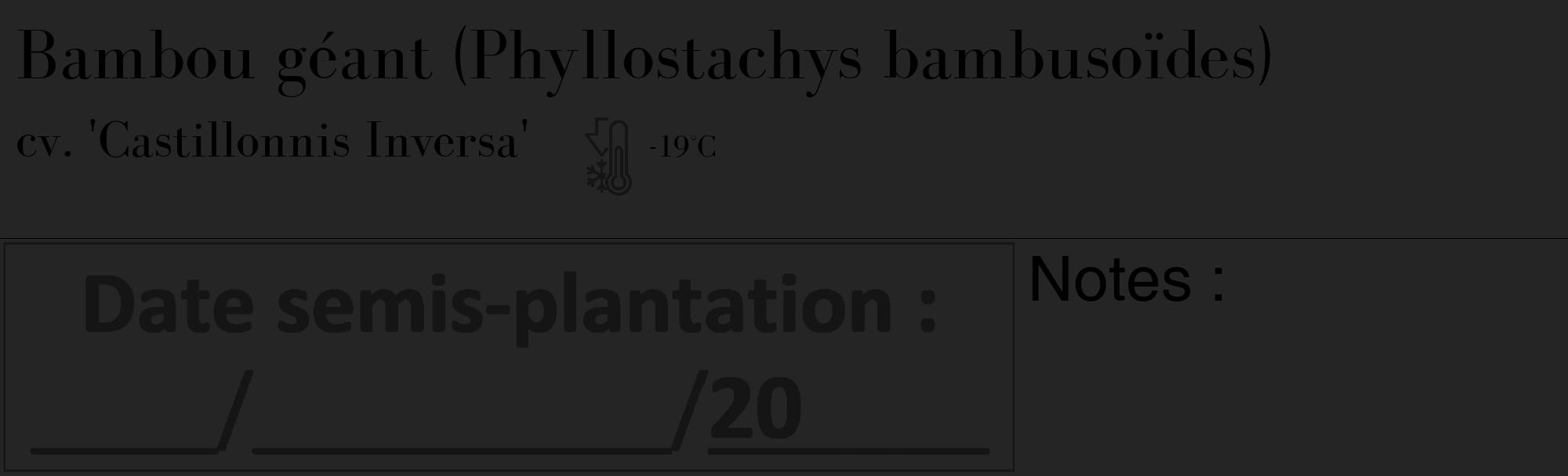 Étiquette de : Phyllostachys bambusoïdes cv. 'Castillonnis Inversa' - format c - style noire47_basique_basiquebod avec comestibilité