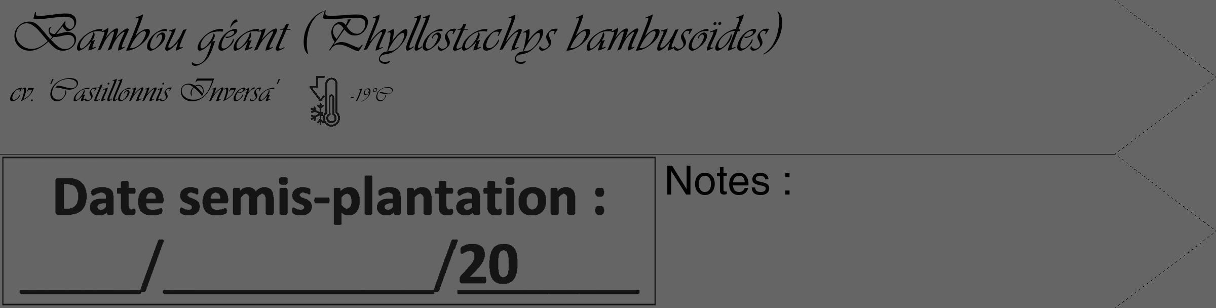 Étiquette de : Phyllostachys bambusoïdes cv. 'Castillonnis Inversa' - format c - style noire32_simple_simpleviv avec comestibilité