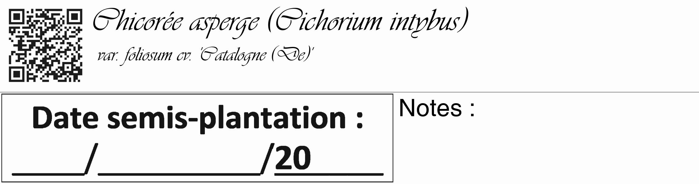 Étiquette de : Cichorium intybus var. foliosum cv. 'Catalogne (De)' - format c - style noire19basique_basique_basiqueviv avec qrcode et comestibilité