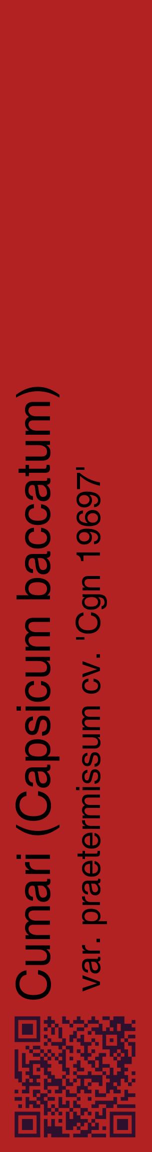 Étiquette de : Capsicum baccatum var. praetermissum cv. 'Cgn 19697' - format c - style noire28_basiquehel avec qrcode et comestibilité