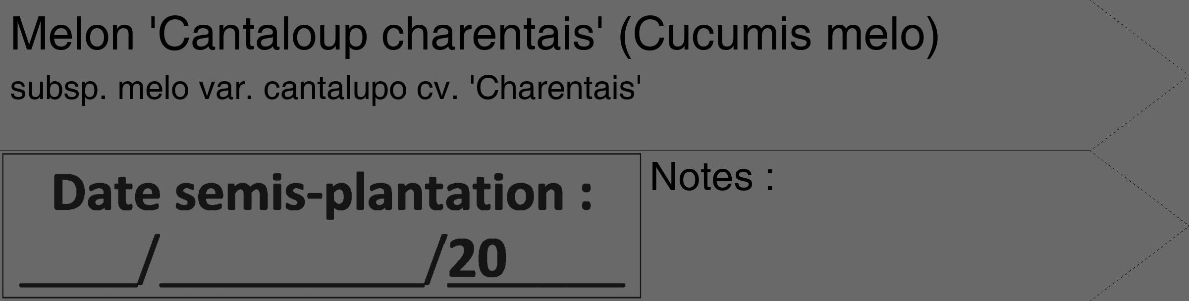 Étiquette de : Cucumis melo subsp. melo var. cantalupo cv. 'Charentais' - format c - style noire51_simple_simplehel avec comestibilité