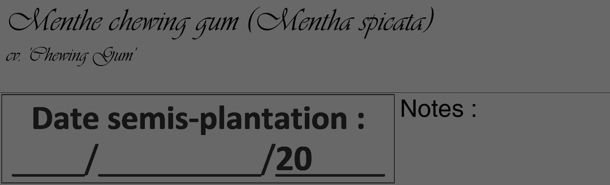 Étiquette de : Mentha spicata cv. 'Chewing Gum' - format c - style noire6_basique_basiqueviv avec comestibilité