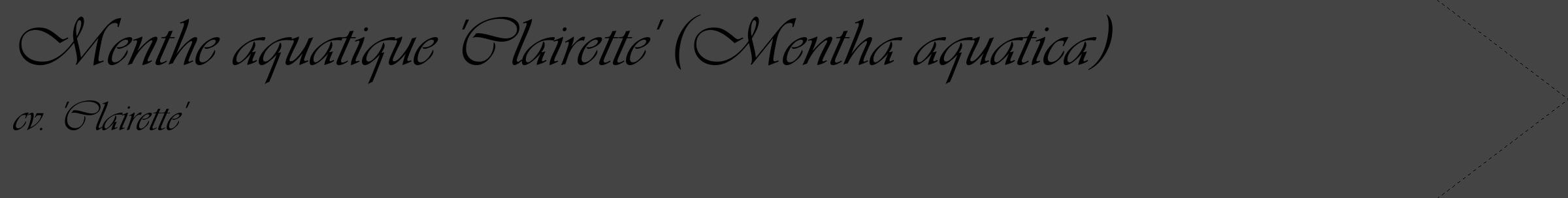 Étiquette de : Mentha aquatica cv. 'Clairette' - format c - style noire48_simple_simpleviv avec comestibilité