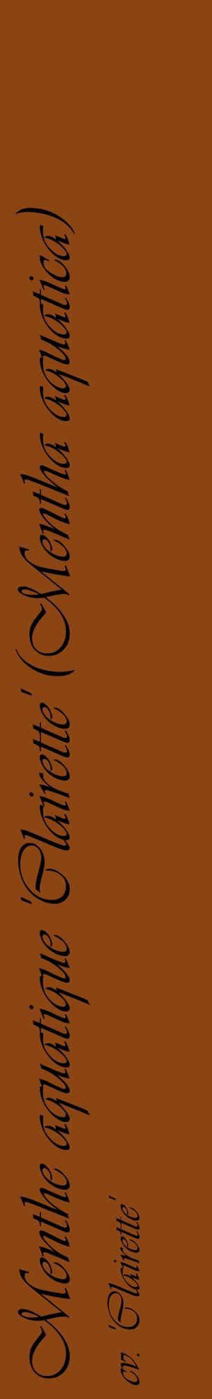 Étiquette de : Mentha aquatica cv. 'Clairette' - format c - style noire30_basiqueviv avec comestibilité
