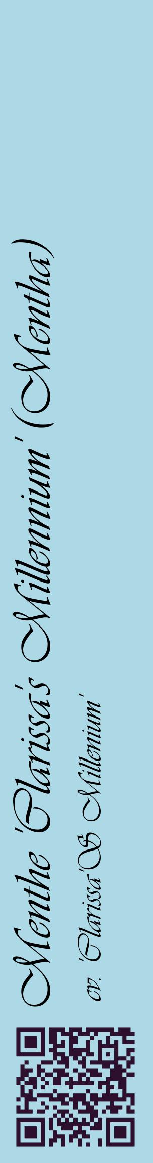 Étiquette de : Mentha cv. 'Clarissa'S Millenium' - format c - style noire0_basiqueviv avec qrcode et comestibilité