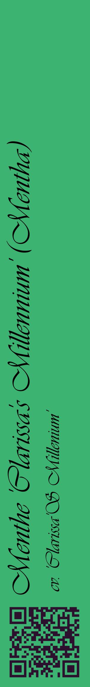 Étiquette de : Mentha cv. 'Clarissa'S Millenium' - format c - style noire12_basiqueviv avec qrcode et comestibilité