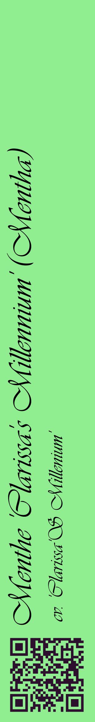 Étiquette de : Mentha cv. 'Clarissa'S Millenium' - format c - style noire15_basiqueviv avec qrcode et comestibilité