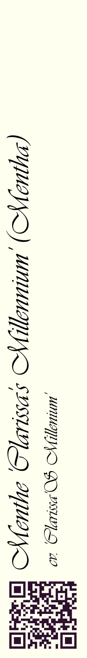 Étiquette de : Mentha cv. 'Clarissa'S Millenium' - format c - style noire19_basiqueviv avec qrcode et comestibilité