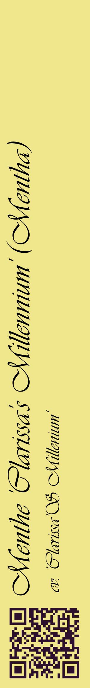 Étiquette de : Mentha cv. 'Clarissa'S Millenium' - format c - style noire20_basiqueviv avec qrcode et comestibilité