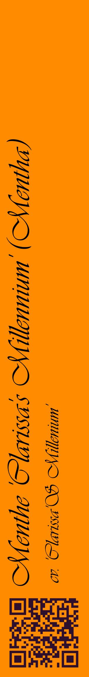 Étiquette de : Mentha cv. 'Clarissa'S Millenium' - format c - style noire23_basiqueviv avec qrcode et comestibilité