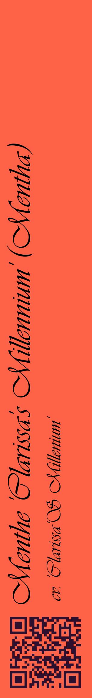 Étiquette de : Mentha cv. 'Clarissa'S Millenium' - format c - style noire25_basiqueviv avec qrcode et comestibilité