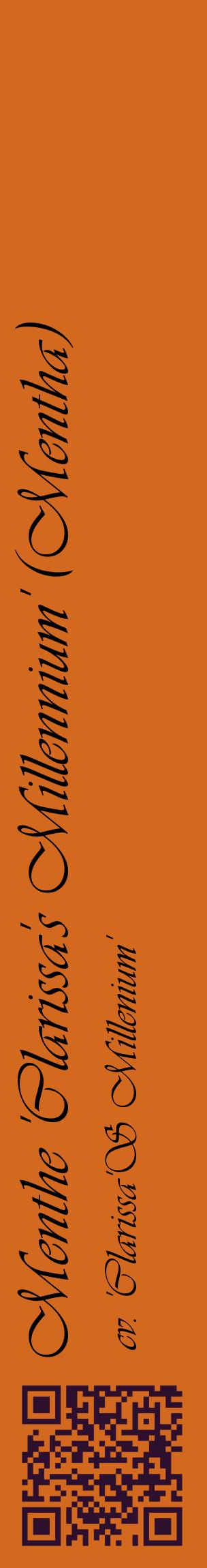Étiquette de : Mentha cv. 'Clarissa'S Millenium' - format c - style noire31_basiqueviv avec qrcode et comestibilité