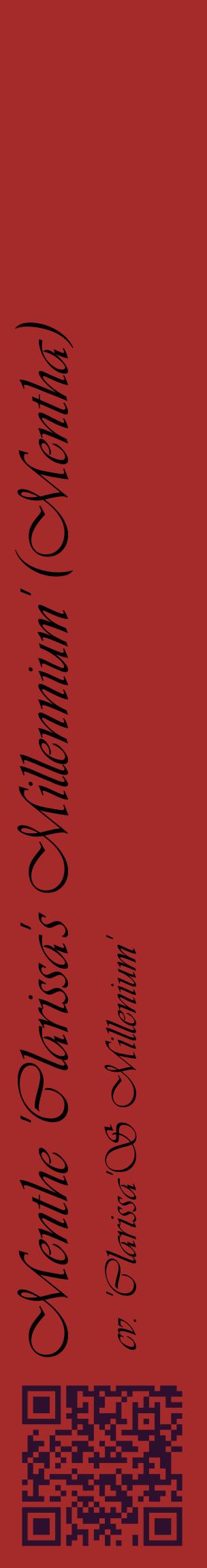 Étiquette de : Mentha cv. 'Clarissa'S Millenium' - format c - style noire33_basiqueviv avec qrcode et comestibilité