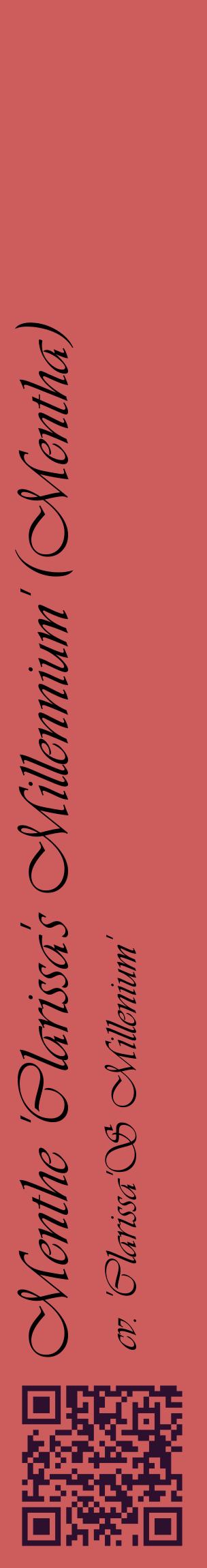 Étiquette de : Mentha cv. 'Clarissa'S Millenium' - format c - style noire35_basiqueviv avec qrcode et comestibilité