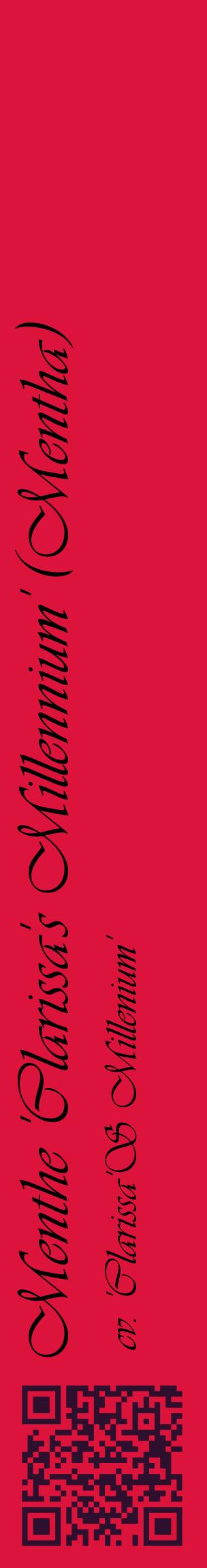 Étiquette de : Mentha cv. 'Clarissa'S Millenium' - format c - style noire36_basiqueviv avec qrcode et comestibilité