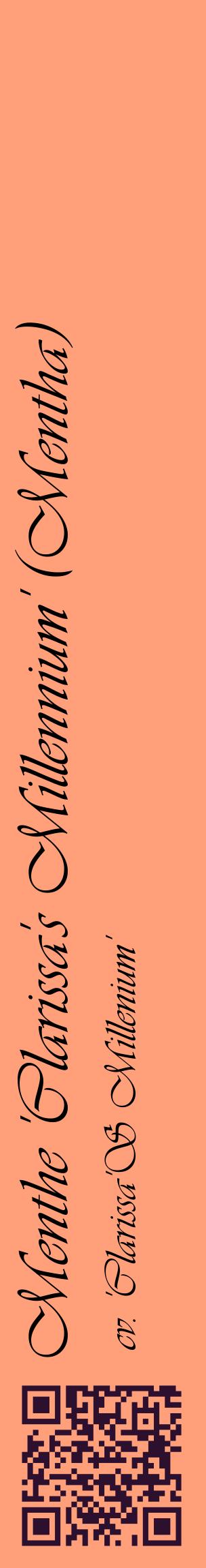 Étiquette de : Mentha cv. 'Clarissa'S Millenium' - format c - style noire39_basiqueviv avec qrcode et comestibilité