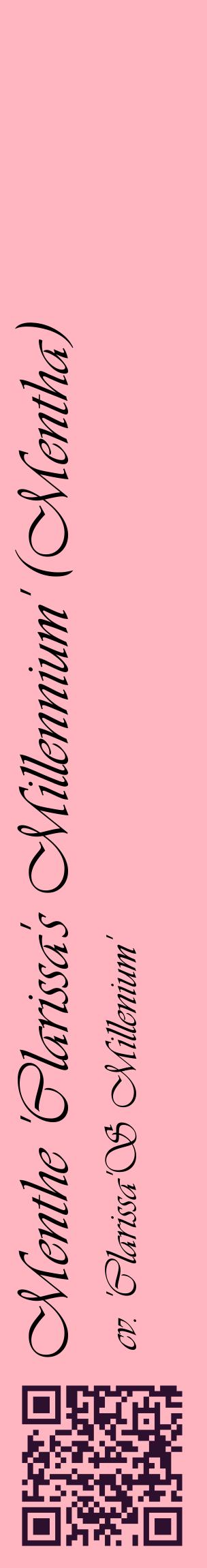 Étiquette de : Mentha cv. 'Clarissa'S Millenium' - format c - style noire41_basiqueviv avec qrcode et comestibilité