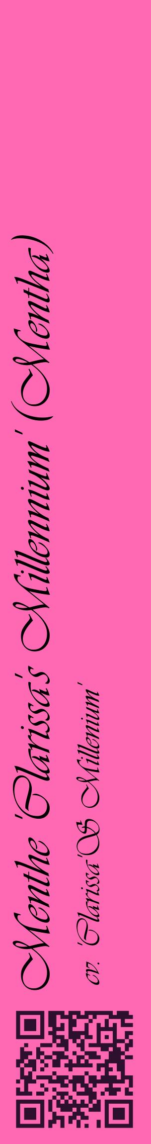 Étiquette de : Mentha cv. 'Clarissa'S Millenium' - format c - style noire42_basiqueviv avec qrcode et comestibilité