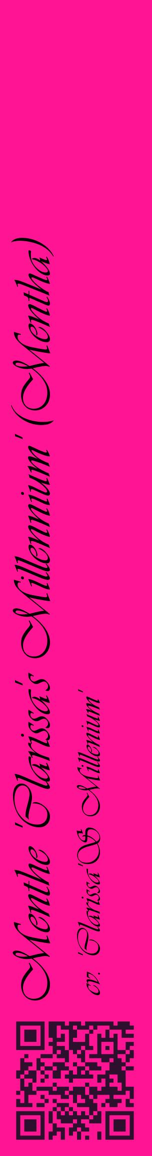 Étiquette de : Mentha cv. 'Clarissa'S Millenium' - format c - style noire43_basiqueviv avec qrcode et comestibilité