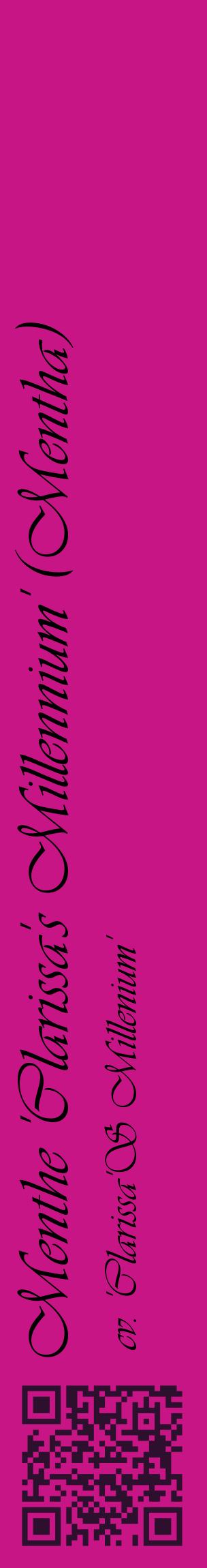 Étiquette de : Mentha cv. 'Clarissa'S Millenium' - format c - style noire45_basiqueviv avec qrcode et comestibilité