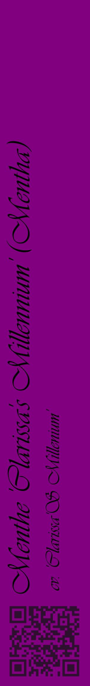 Étiquette de : Mentha cv. 'Clarissa'S Millenium' - format c - style noire46_basiqueviv avec qrcode et comestibilité