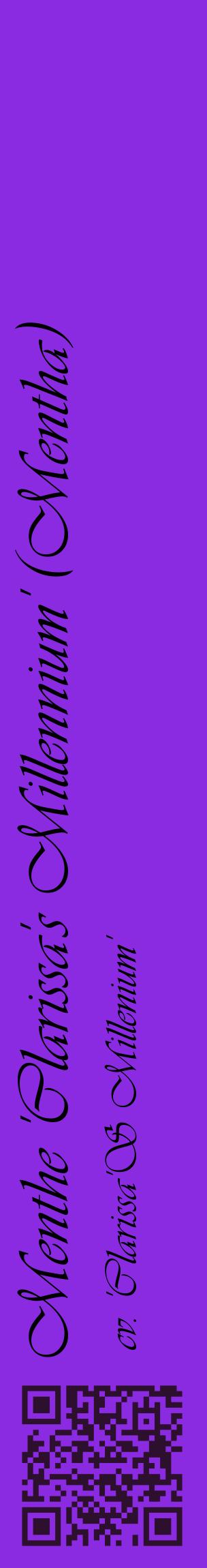 Étiquette de : Mentha cv. 'Clarissa'S Millenium' - format c - style noire49_basiqueviv avec qrcode et comestibilité