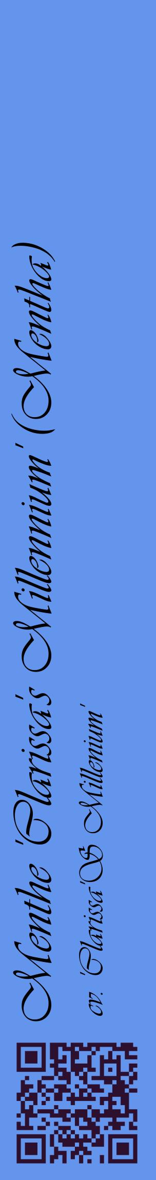 Étiquette de : Mentha cv. 'Clarissa'S Millenium' - format c - style noire4_basiqueviv avec qrcode et comestibilité