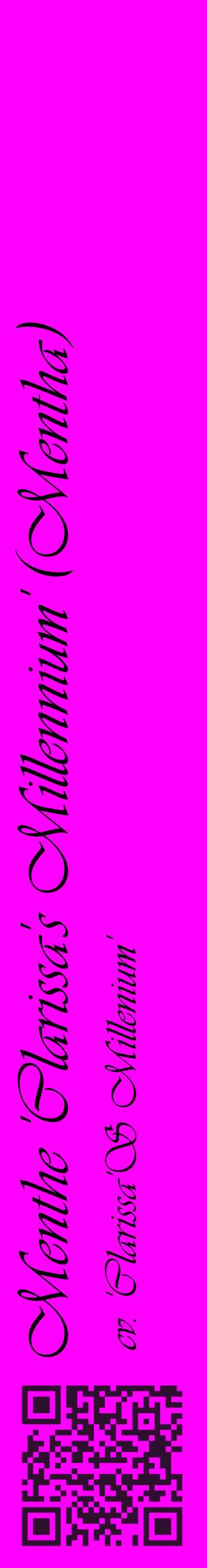 Étiquette de : Mentha cv. 'Clarissa'S Millenium' - format c - style noire51_basiqueviv avec qrcode et comestibilité